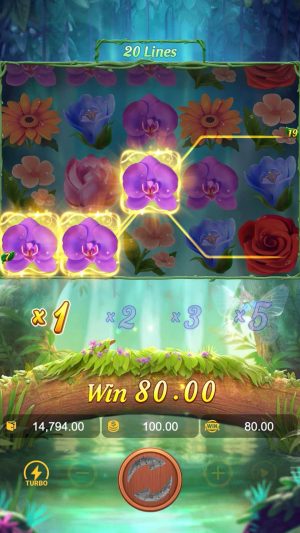 butterfly-blossom_multiplier1_en