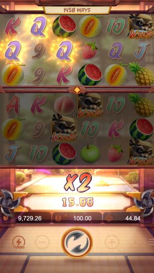 ninja-raccoon-frenzy-multiply_en2