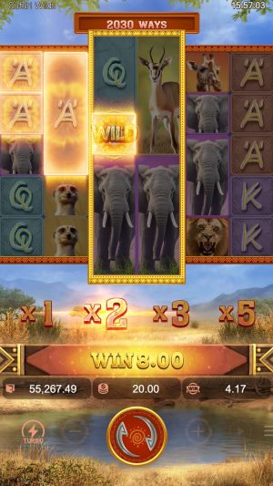 safari-wilds_multiplier2_en