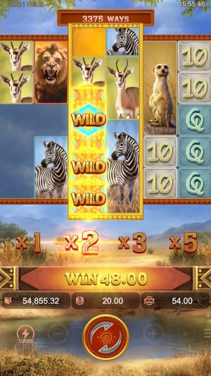 safari-wilds_wild-transformation-reel2_en