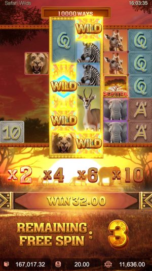 safari-wilds_wild-transformation-reel4_en